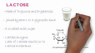 Biochemistry of Oligosaccharides [upl. by Brighton]