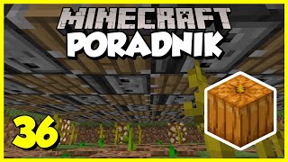 Minecraft Poradnik 036  automatyczna farma dyń i arbuzów  Minecraft 116 Survival [upl. by Enilarac]