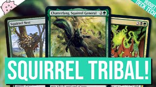 Chatterfang Squirrel General  Its Squirrel Tribal Time  Budget Commander Deck Tech  EDH  MTG [upl. by Ardnekat]