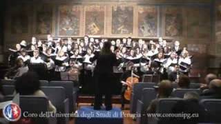 Gaudeamus Igitur  Inno Universitario Internazionale [upl. by Joselow266]