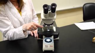 Parts of the Microscope  MCCC Microbiology [upl. by Bonnes424]