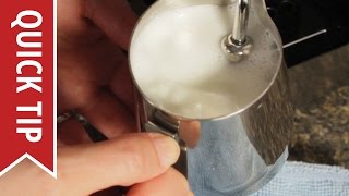 How to AutoFroth Milk for Lattes [upl. by Ariuqahs]