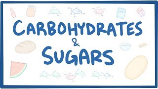 Carbohydrates amp sugars  biochemistry [upl. by Ogirdor621]