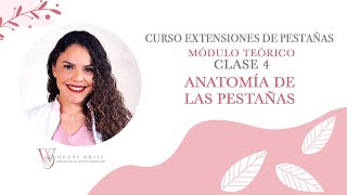 Curso de Extensiones de Pestañas  Clase 4 Anatomía de las Pestañas [upl. by Jeffrey]