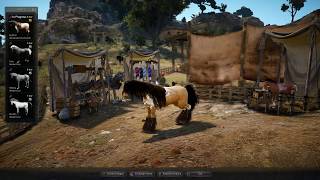 Black Desert T9 Awakening from T8 How to get Arduanatt  Pegasus Dream Horse [upl. by Ahsiyk786]