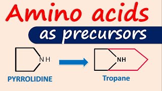 Amino acids as precursors for alkaloids [upl. by Evvy]