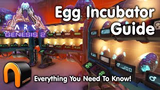 ARK Egg Incubator Guide And How To Use It ARK [upl. by Quirita]