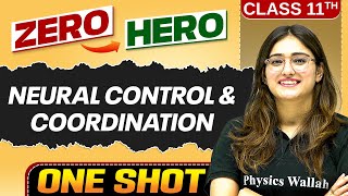 Neural Control and Coordination  Full Chapter in ONE SHOT  Chapter 18  Class 11th Biology [upl. by Hacker]