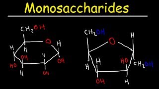 Monosaccharides  Glucose Fructose Galactose amp Ribose  Carbohydrates [upl. by Naitsabas]