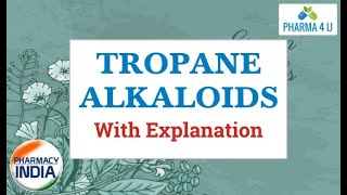 TROPANE ALKALOIDS PART4  EXPLANATION EASY TO LEARN [upl. by Donna448]