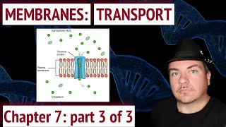 Cell Membranes Transport Across a Membrane [upl. by Akihsar]