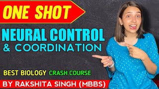 Neural Control And Coordination  One Shot Class 11 NCERT  Rakshita singh [upl. by Ellwood]