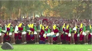 Au Swaziland célèbre les jeunes vierges lors de quotla danse des roseauxquot [upl. by Eendys]