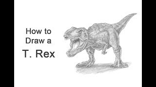 How to Draw a Tyrannosaurus rex T Rex Roaring [upl. by Meedan]