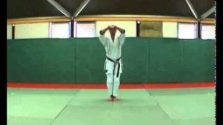 5 Bassai Dai Kata Kumite Bunkai Didier Lupo [upl. by Ahtnahc]