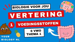 6 vwo  Vertering  1  Voedingsstoffen [upl. by Seravart]