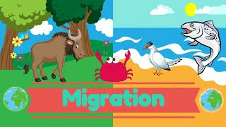 Migration  Science for Kids  PrimaryWorld [upl. by Kurys]