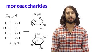 Carbohydrates Part 1 Simple Sugars and Fischer Projections [upl. by Jacquelyn]