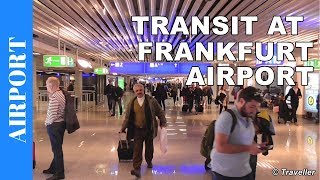 TRANSIT WALK AT FRANKFURT Airport FRA Terminal 1  Connection Flight Transfer Arriving amp Departing [upl. by Catriona]