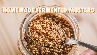 Easy Homemade Fermented Mustard [upl. by Light]