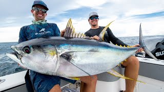 Monster Yellowfin Tuna [upl. by Hiasi]