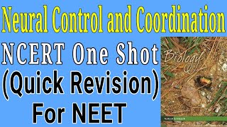 Neural control and coordination class 11 ncert one shot for NEET exam [upl. by Silsby196]