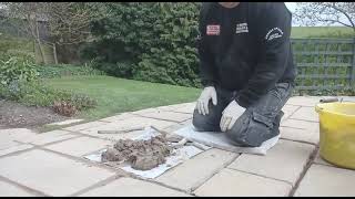 paving slabs Patio flags jointing and Pointing for Beginners this way allows movement Part 1 [upl. by Arenahs]