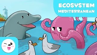 The Mediterranean Sea  Learning Ecosystems for kids [upl. by Kan]